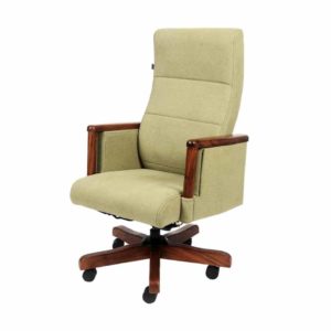 Ergonomic chair manufacturers and supplier