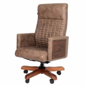 Director Chair Manufacturers In Panchkula