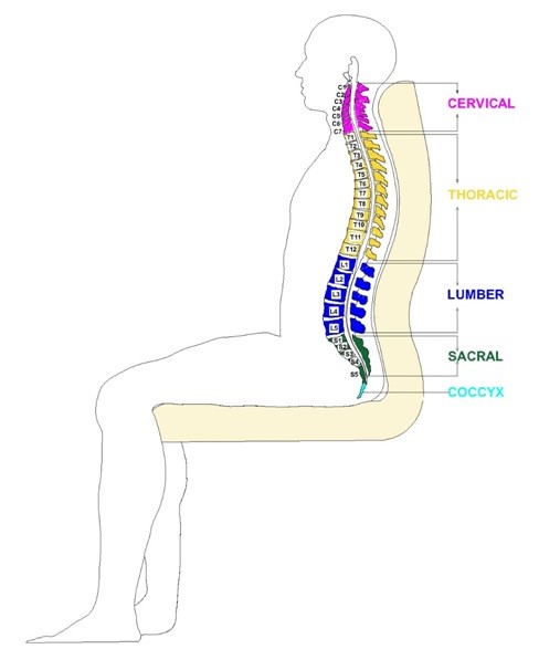 Ergonomic Chair Design