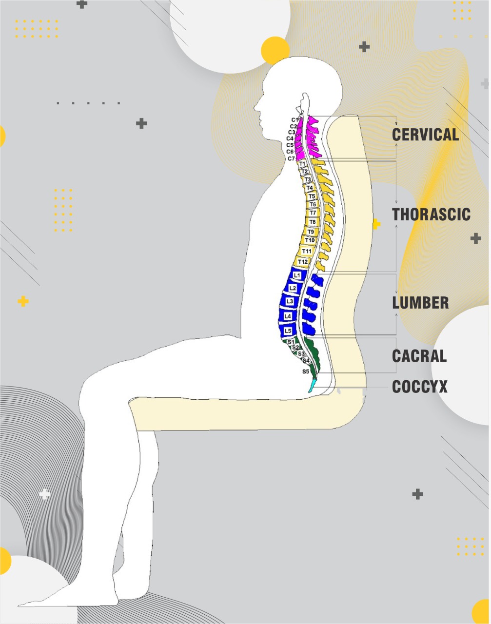 Ergonomic Chair Design