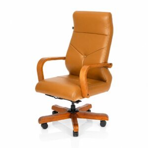 Best Director Chair in Mohali