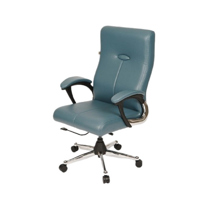 Director Chair in Mohali