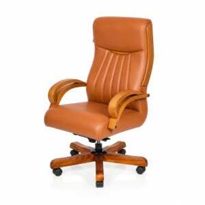 Director Chair in Tricity