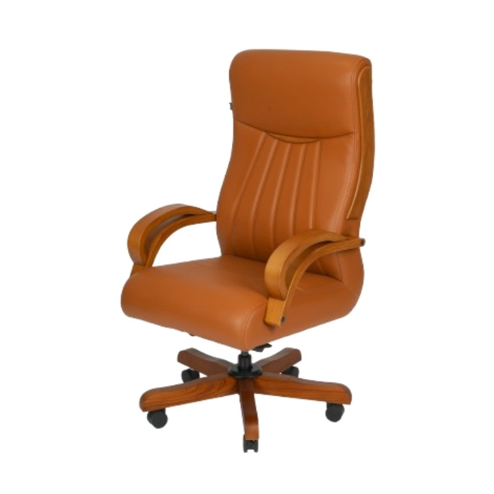 Director Chair in Tricity