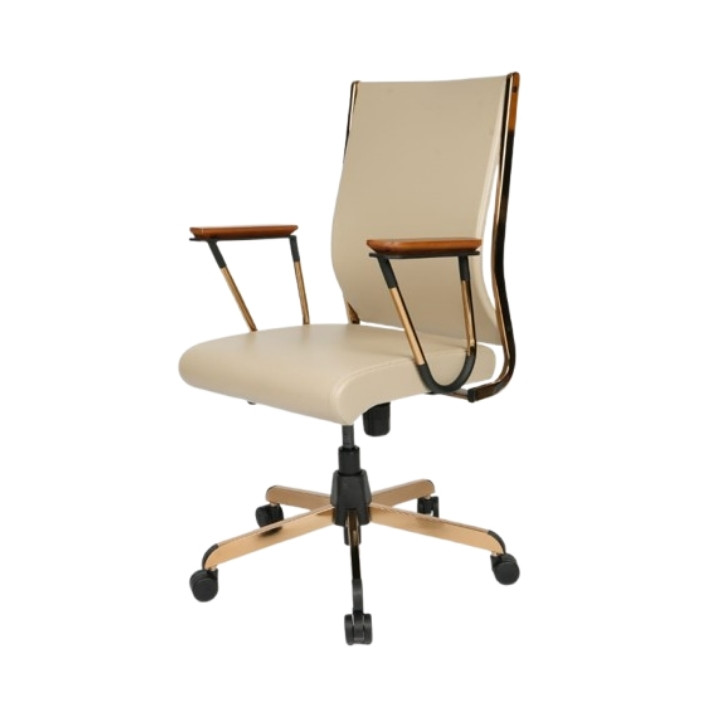 Best Staff Chair in Chandigarh