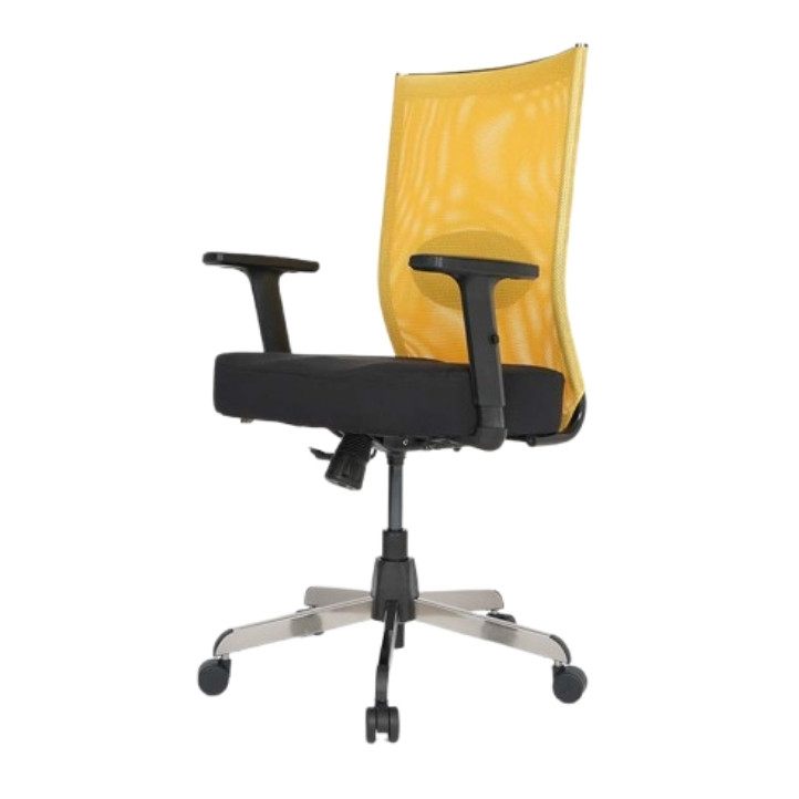 Staff Chair in Panchkula