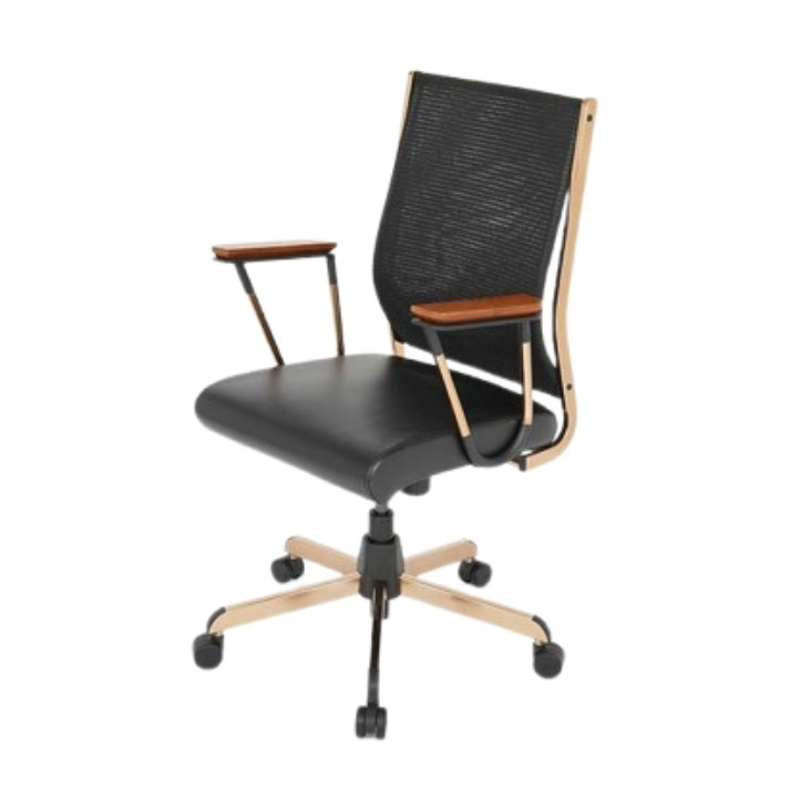 Ergonomic Study Chair